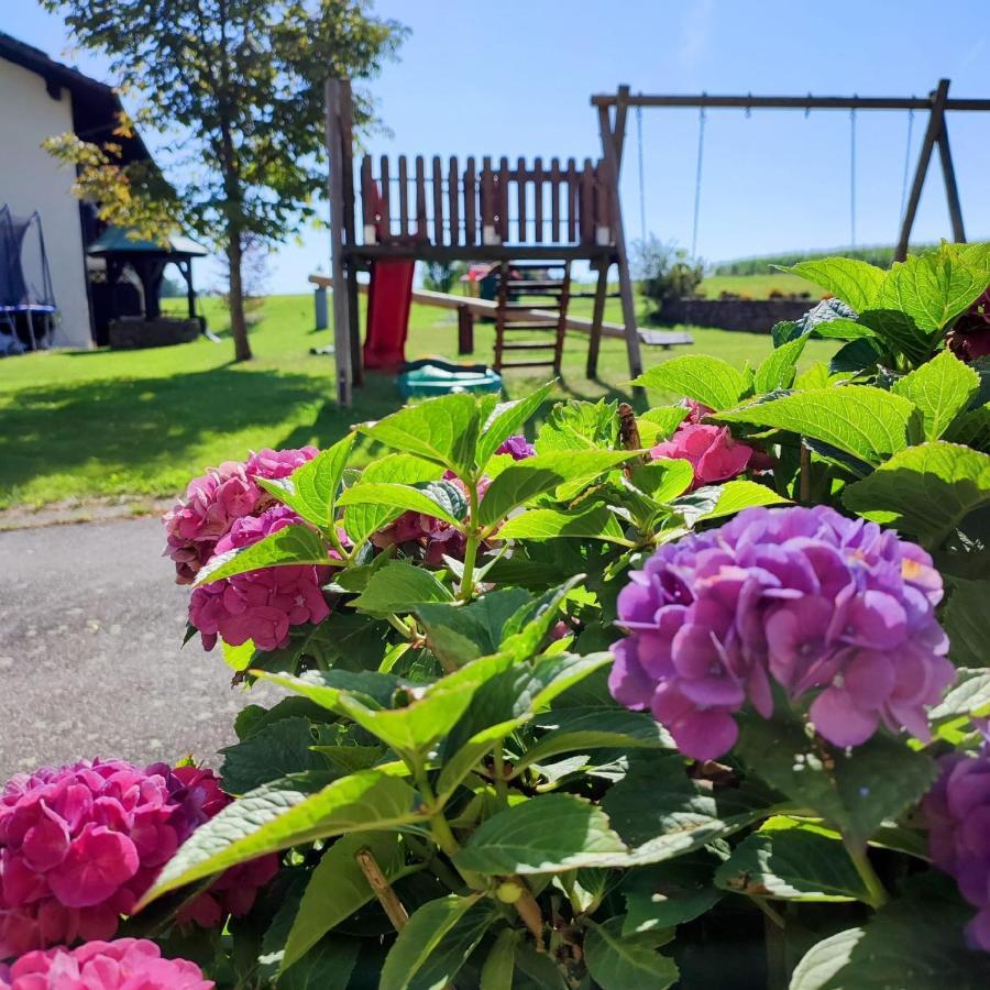 Fruehstuecks-Pension Lichtenauer Hof Thyrnau 외부 사진